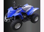 2010 E-Ton Viper 90 photo